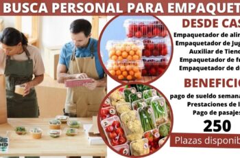 se busca personal para empaquetar alimentos
