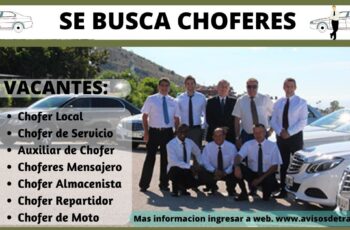 Se busca choferes
