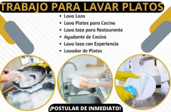 lavador de platos