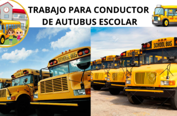 TRABAJO PARA CHOFER ESCOLAR